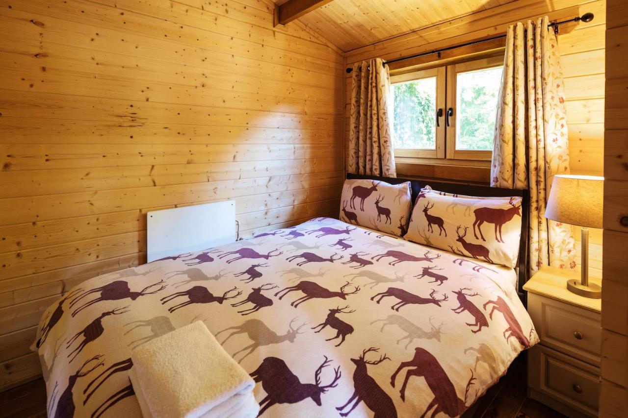 Tudor Lodge Laragh Dış mekan fotoğraf